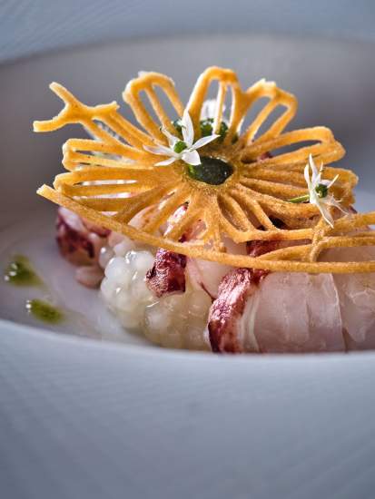 Tartare de bar en rosace, chips de pomme de terre dorée et fleur blanche, dressage gastronomique – La Table des Échevins Douai